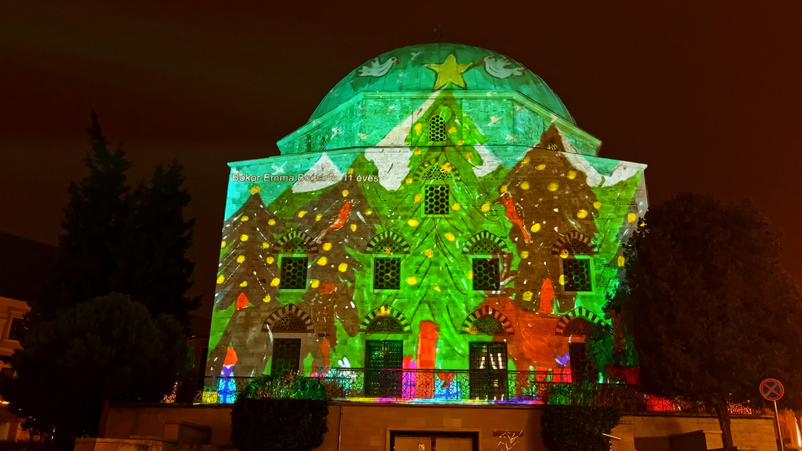 Bokor Emma Boglárka 11 éves