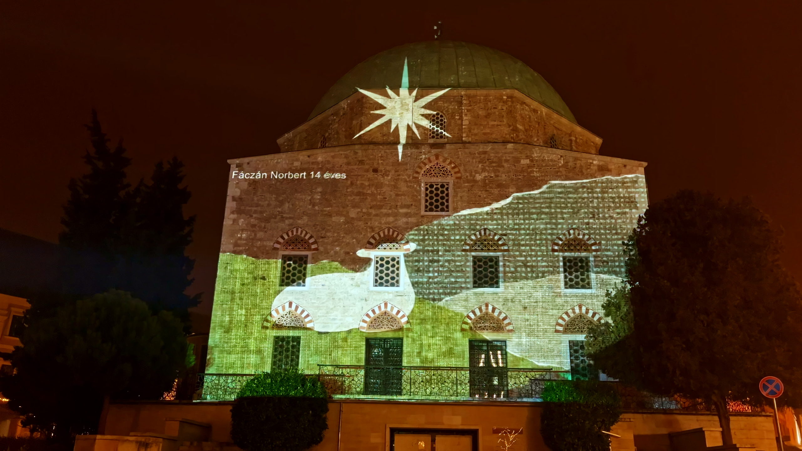 Fáczán Norbert 14 éves