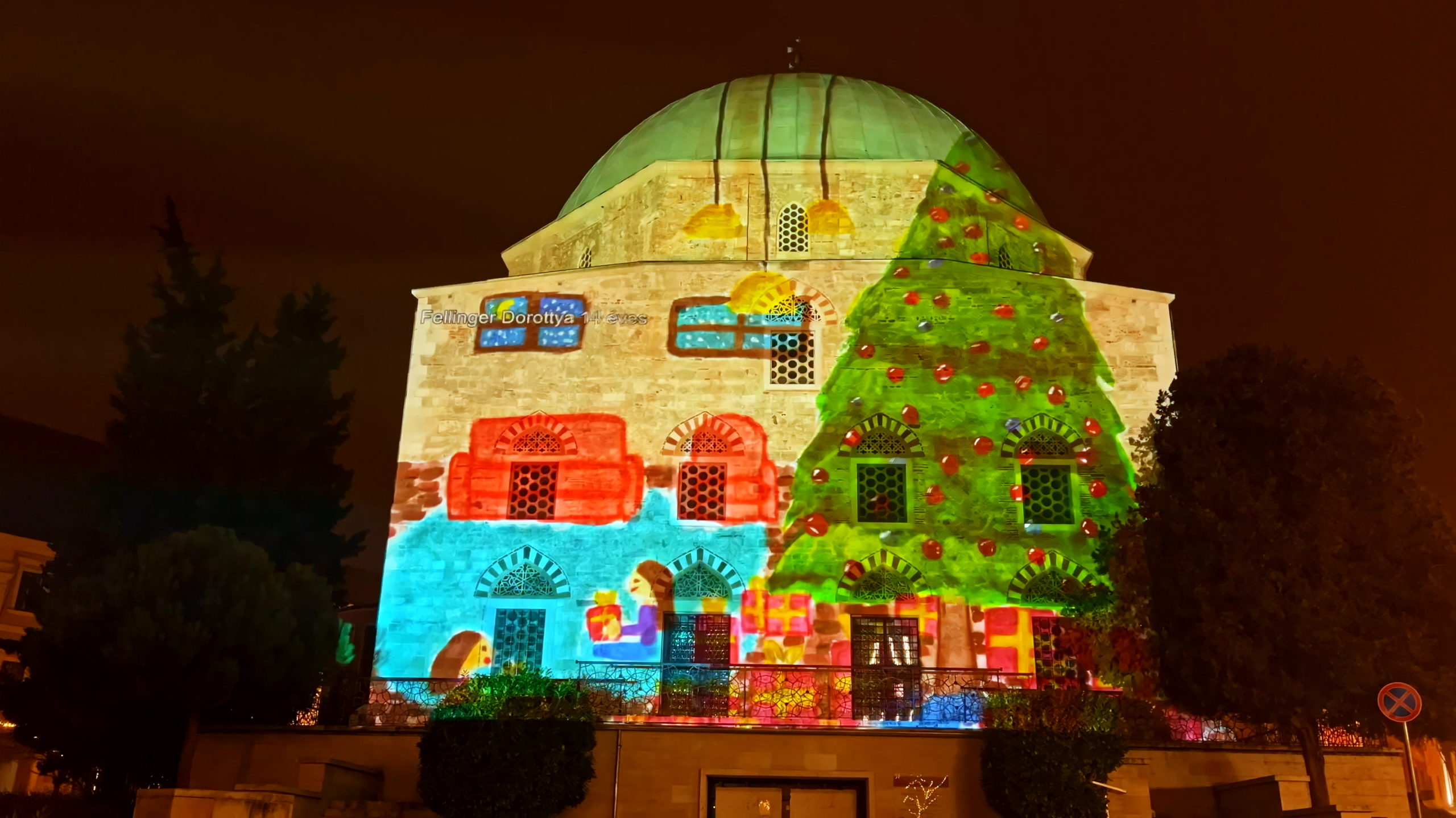 Fellinger Dorottya 14 éves