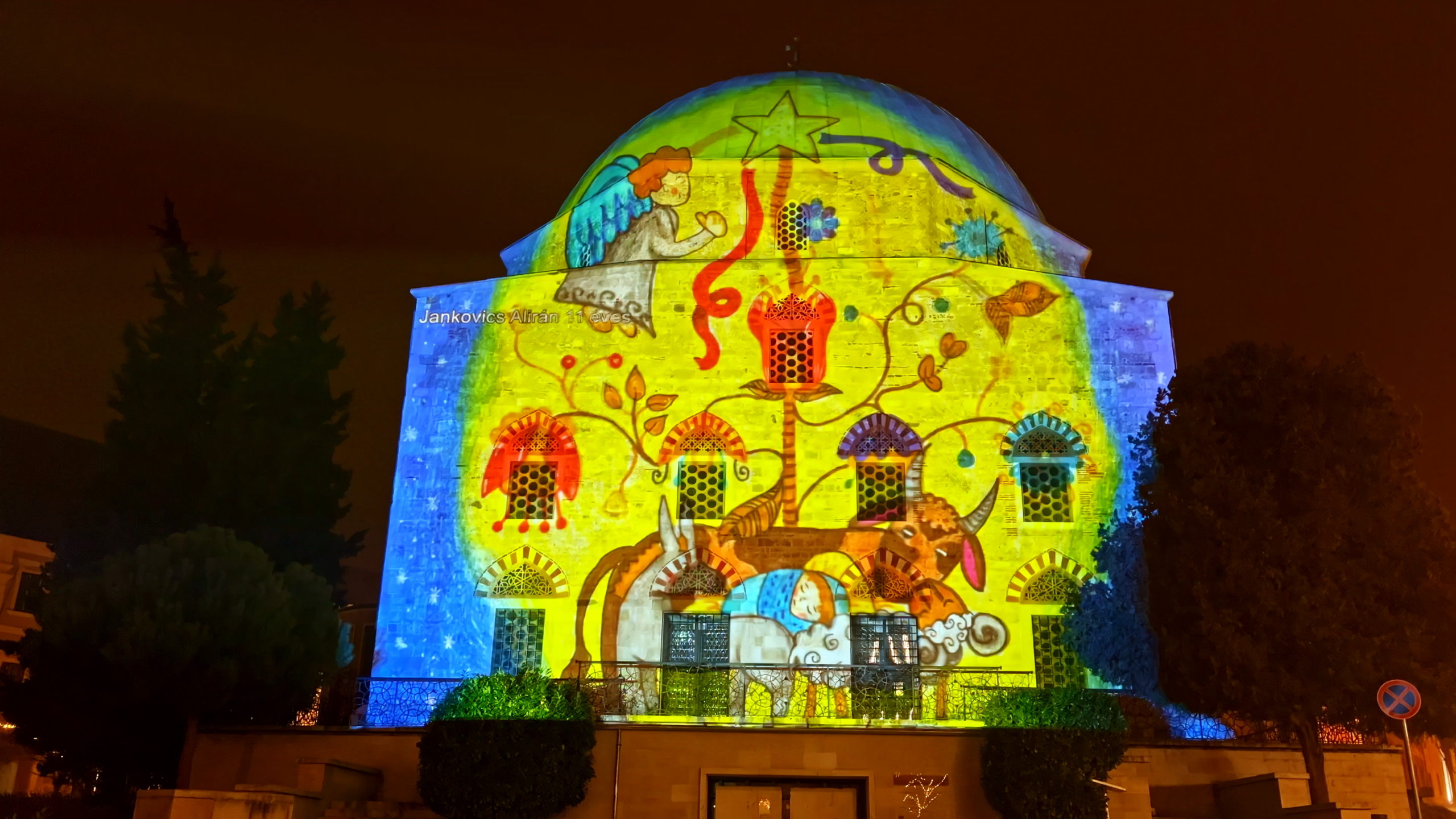 Jankovics Alirán 11 éves