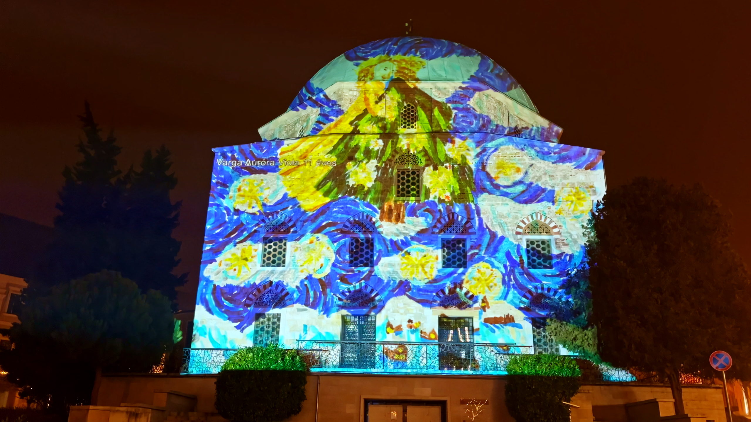 Varga Auróra Viola 11 éves